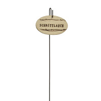 Kräuterschild antik Schnittlauch