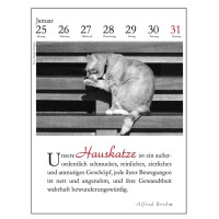 Der literarische Katzenkalender 2027
