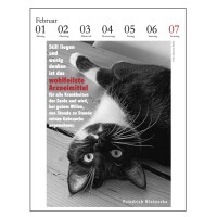 Der literarische Katzenkalender 2027