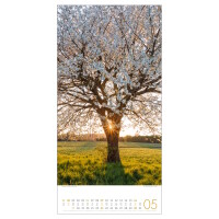 Kalender Bäume 2027